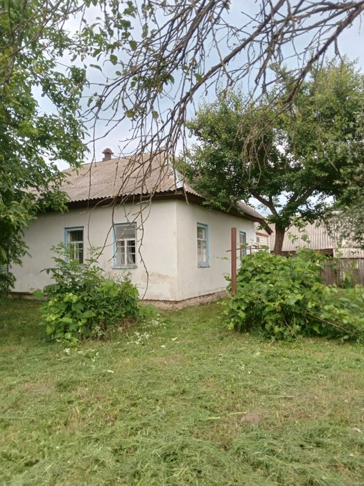 Будинок та земельна ділянка