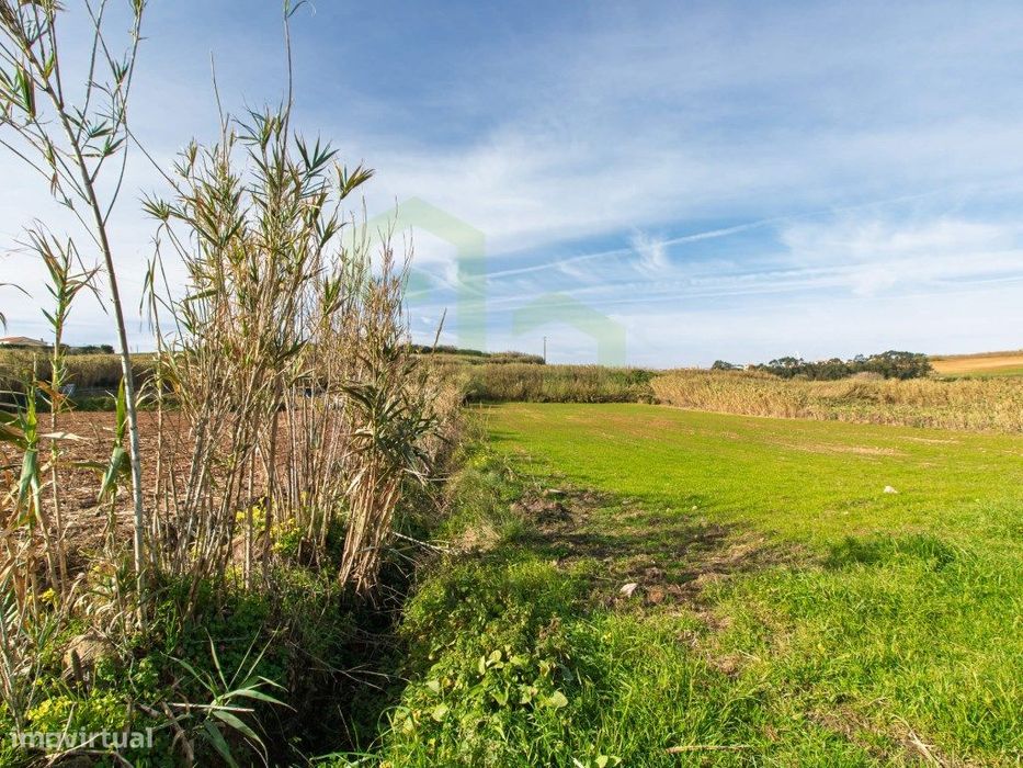 Vende Terreno - Ericeira 13 km, A Casa das Casas