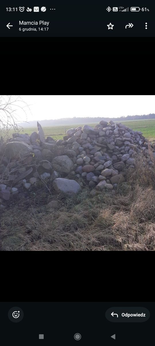 Kamien polny otoczaki