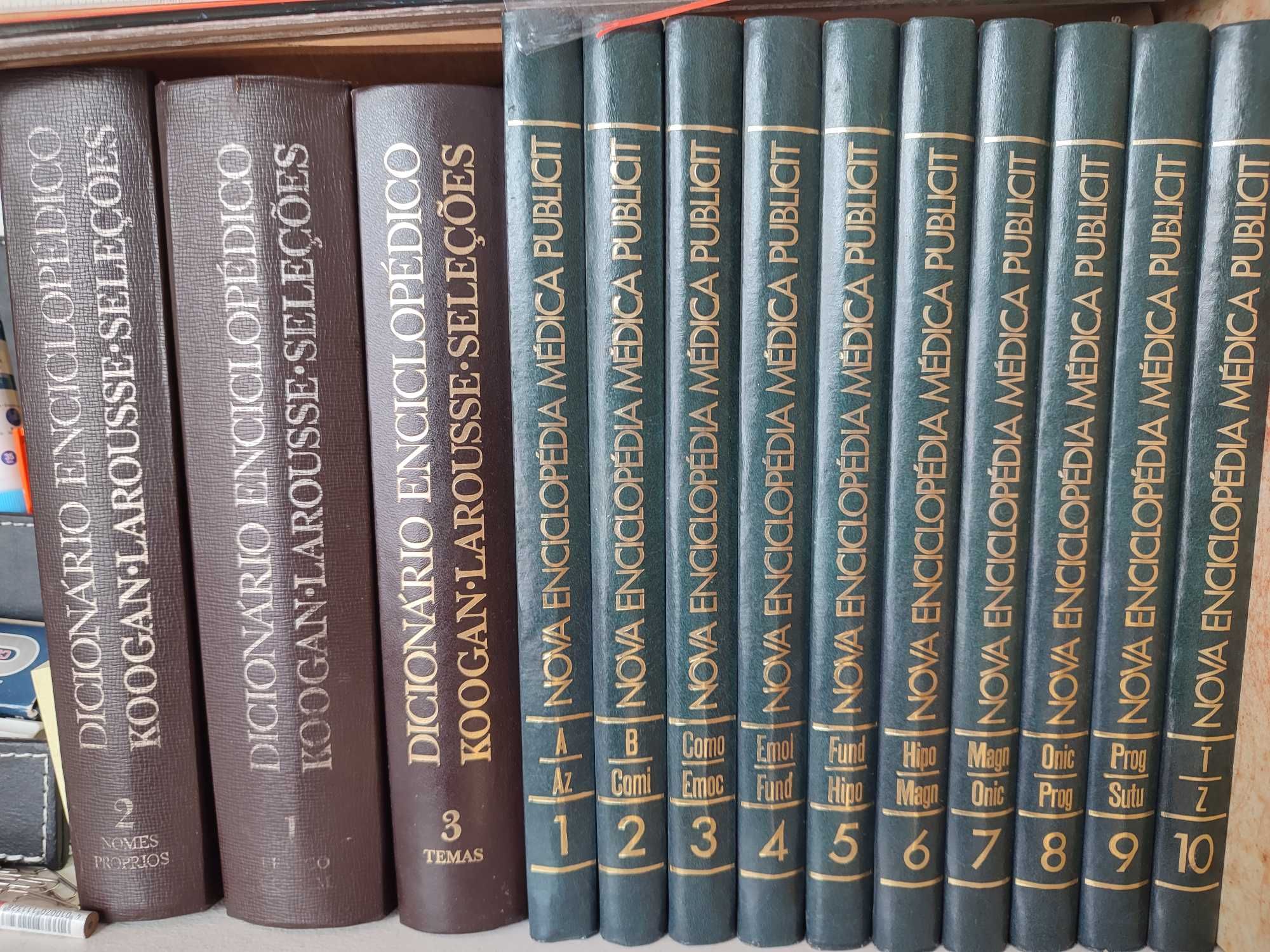 Coleção de livros Dicionário e Enciclopédias