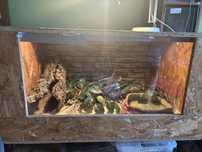 Terrarium  80x60x43cm