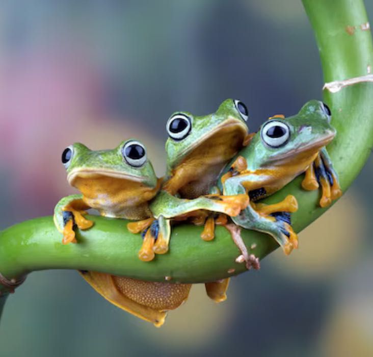 Korepetycje z biologii Online