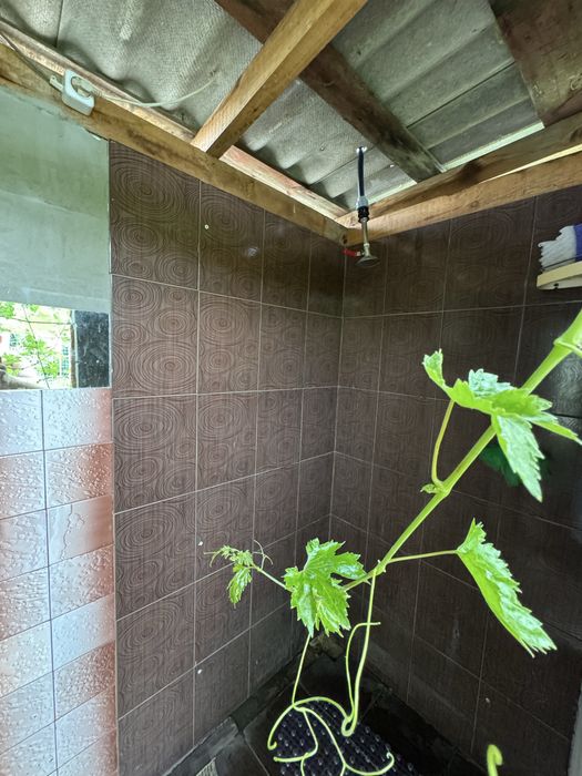 Продается дом в хорошем месте!