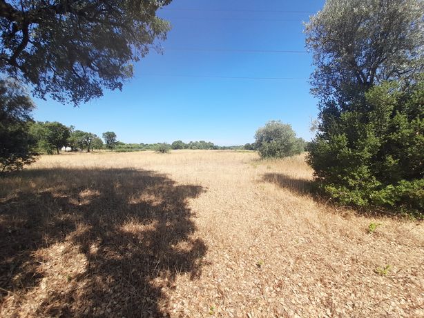 Terreno para venda no vale de Santarém na zona dos Marecos