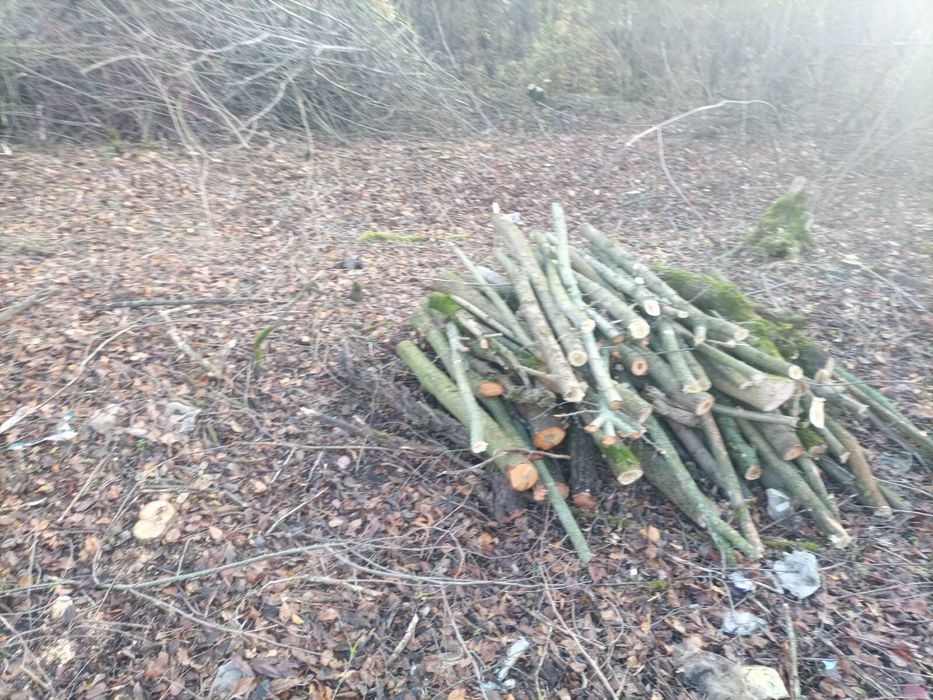 Дрова твердых пород дрова твердих порід зі своєї земельної ділянки