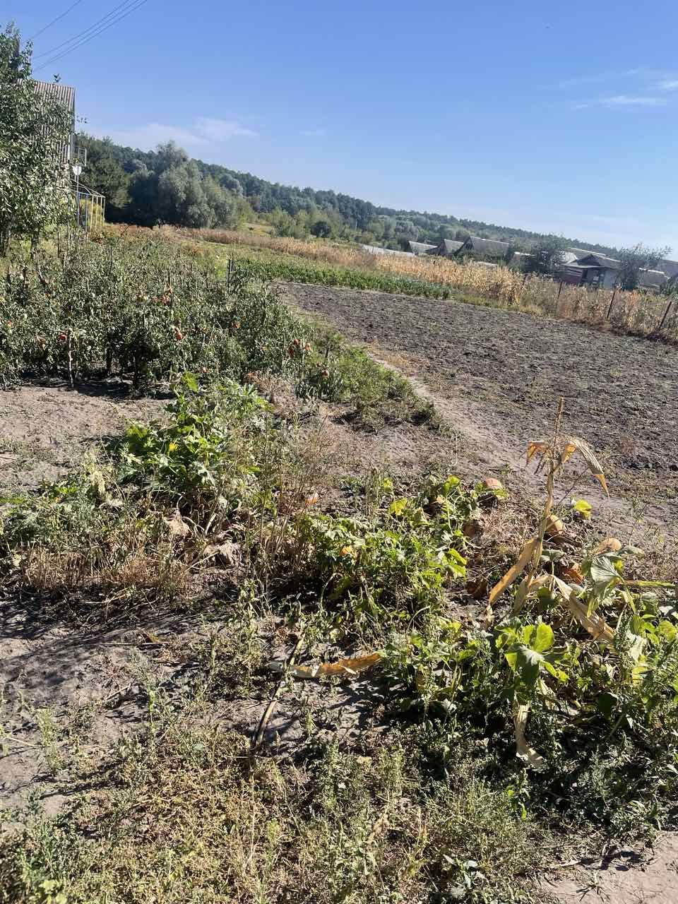 Продам будинок Нижне Піщан. Ціна договірнае Торг