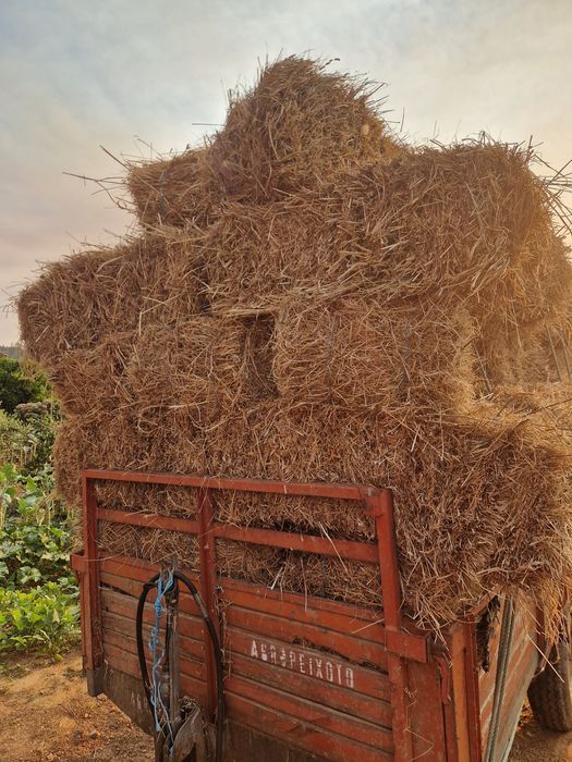 Vendo fardos de palha