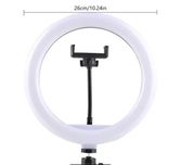 Conjunto de Iluminação Profissional – Rotação 360°