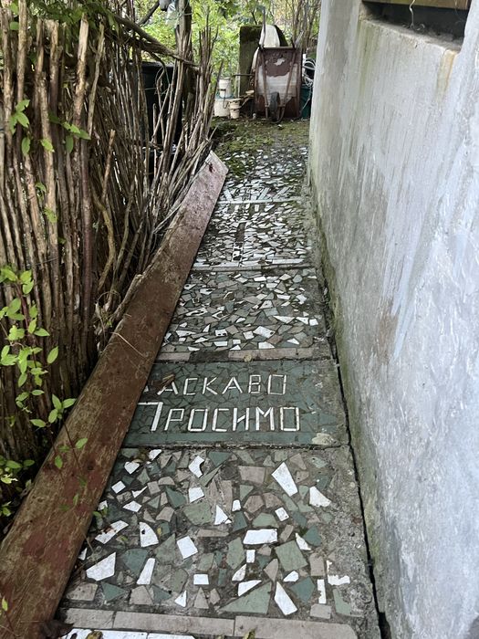 Калинка велика керниця