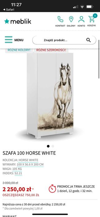 Szafa z malowanym koniem