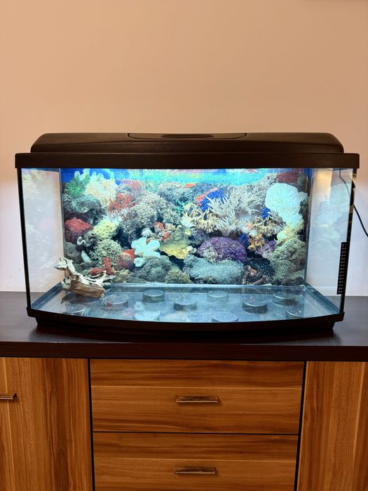 Półokrągłe akwarium 120L + zestaw akcesoriów do 2 akwariów
