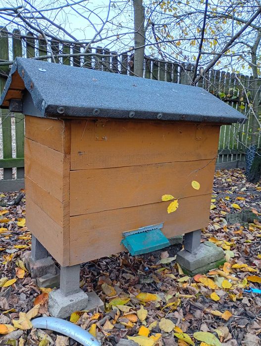 Ule z pszczołami typ warszawski