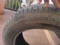 Opona 185/65 R15 88t Pirelli Cinturato P1