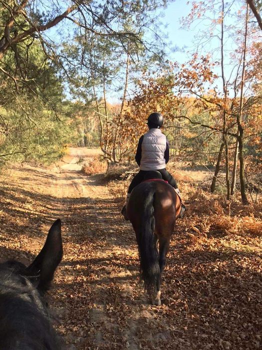 klacz do sportu rekreacji