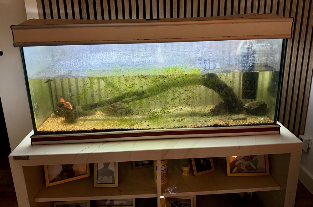 Aquario grande 100% funcional