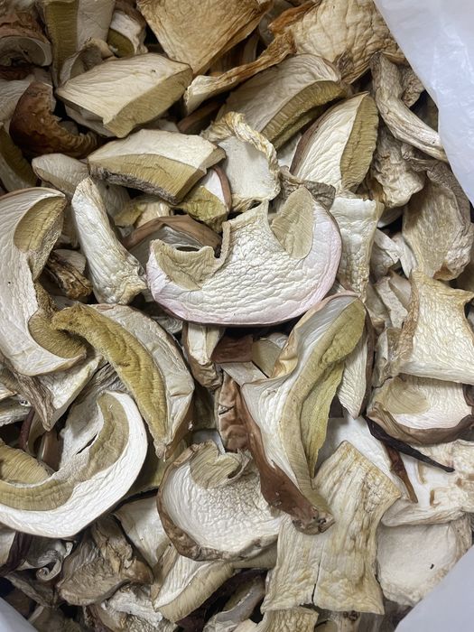 Гриби білі сушені !