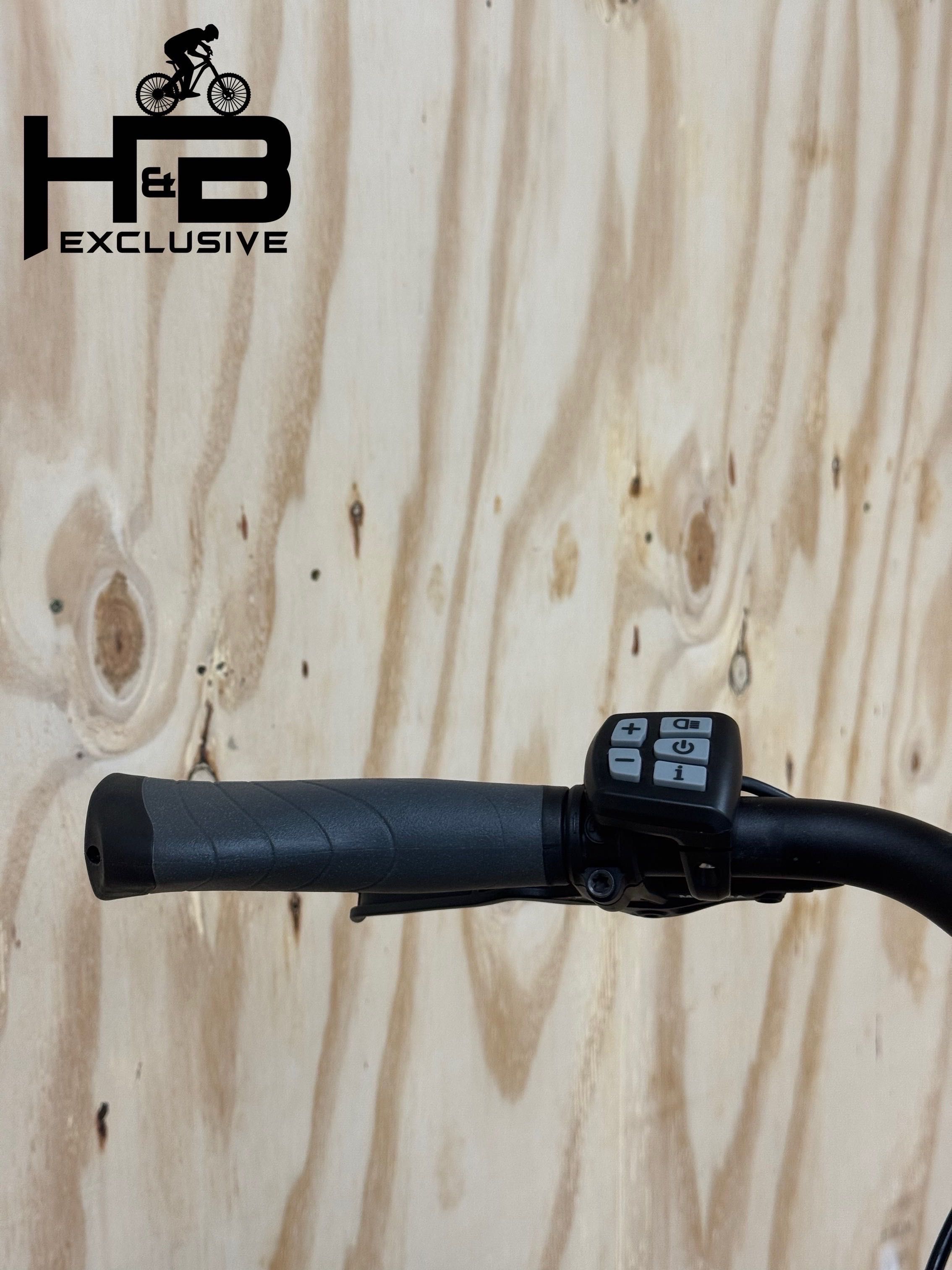 Qwic Premium I MN7+ Shimano Nexus 2021