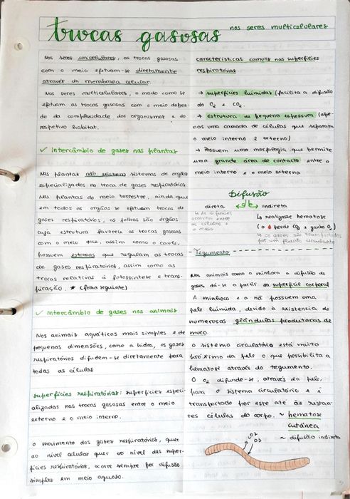 Resumos biologia e geologia 10º/11º para Exame Nacional IAVE