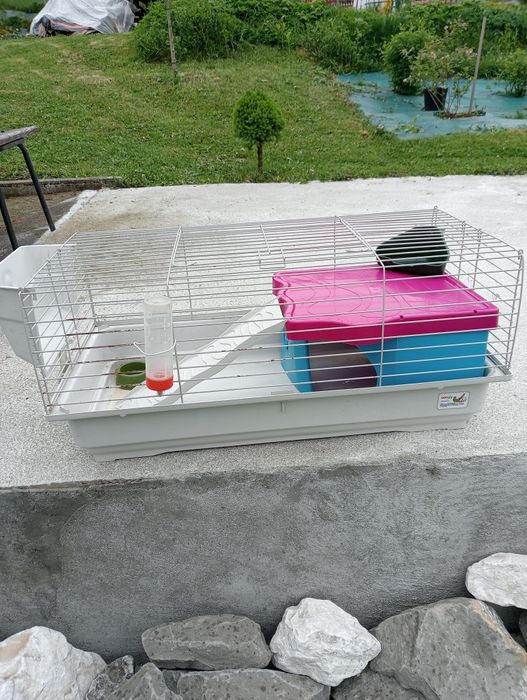 Klatka dla świnki morskiej,szczura,chomika