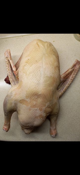 Gęsi tuszki  młoda gęsina Naturalne owsiane najlepsza gęsina