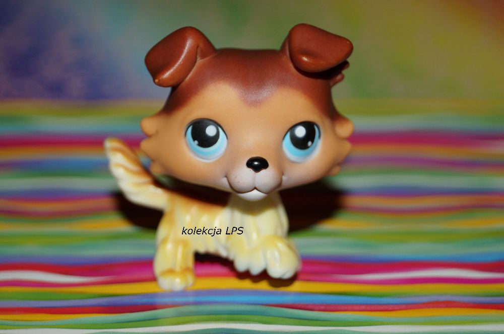 LPS Littlest Pet Shop collie #58 SAGE oryginalny oryginał UNIKAT POP