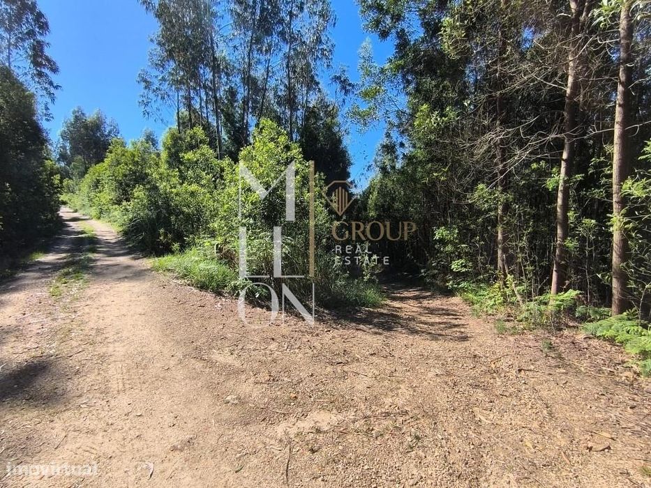 Terreno | 3800 M2 | Grijó