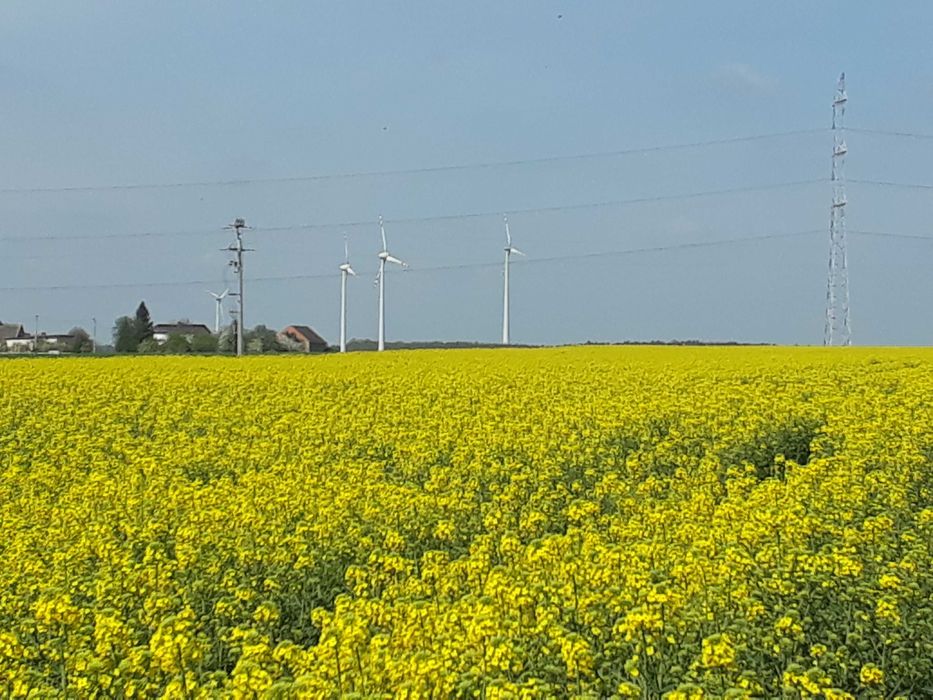 Zastaw miodów z własnej pasieki