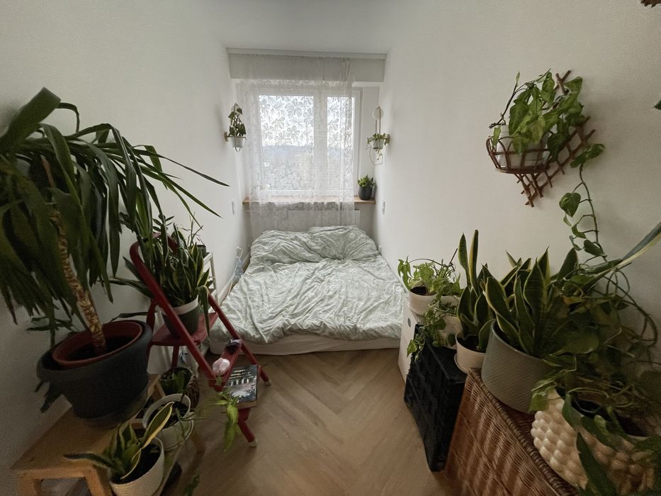 Nowoczesne i przytulne mieszkanie ul. Długa, blisko centrum i dworca