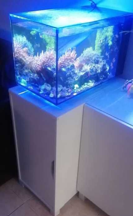 Movel aquário com vidro branco