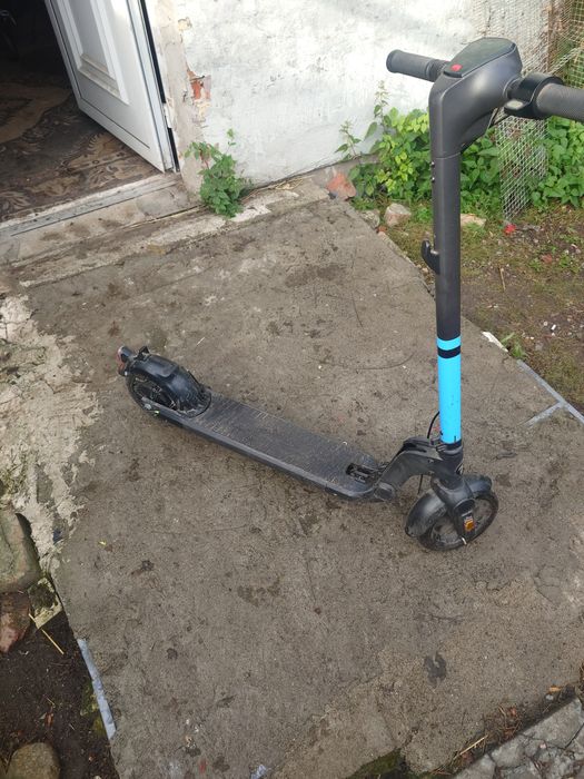 Frugal Alpha stan db