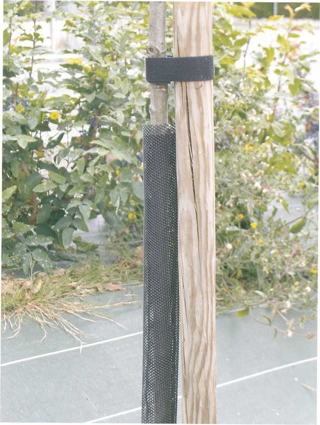 Osłonki osłonka siatka na drzewka zaciskowa 80cm - 8szt
