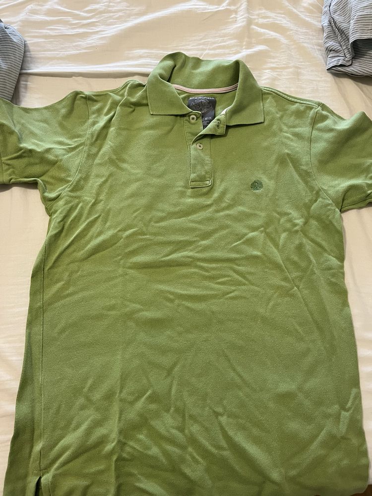 Polo Springfield