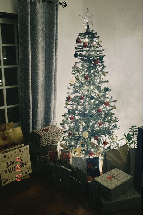 Arvore de Natal 2,20m