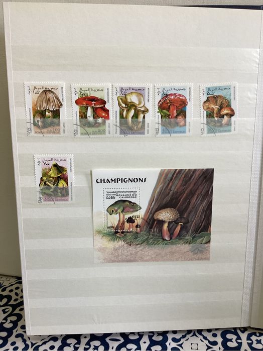 Album de selos formato A 4. Tematicos. (Cogumelos).