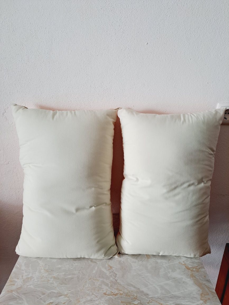 2 almofadas decorativas