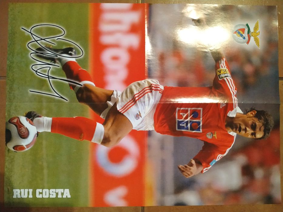 Conjunto de posters gigantes da equipa do Benfica 2007/2008