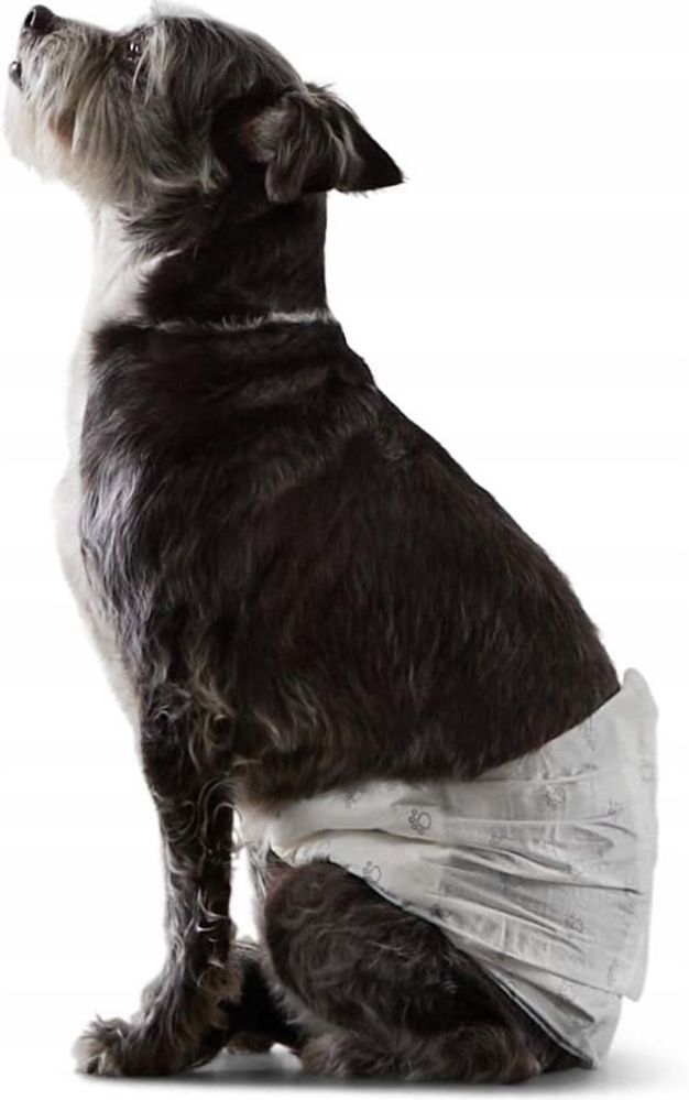 Pieluchy • Kot Pies Małpka •  Amazon Basics • 30szt. Nowe / rozmiar S