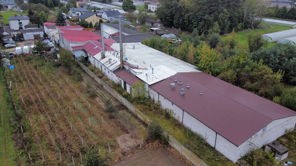 Syndyk sprzeda halę, zakład przetwórstwa mięsnego