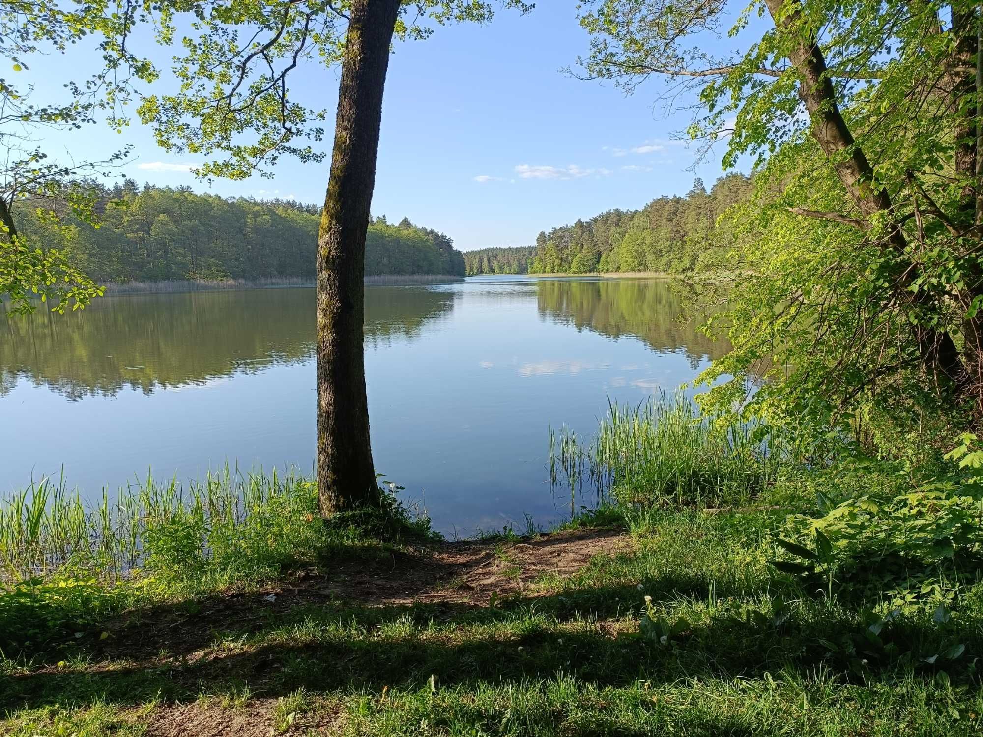 Mazury-DOMEK POD LASEM. Wędkowanie, kajaki, rowery.