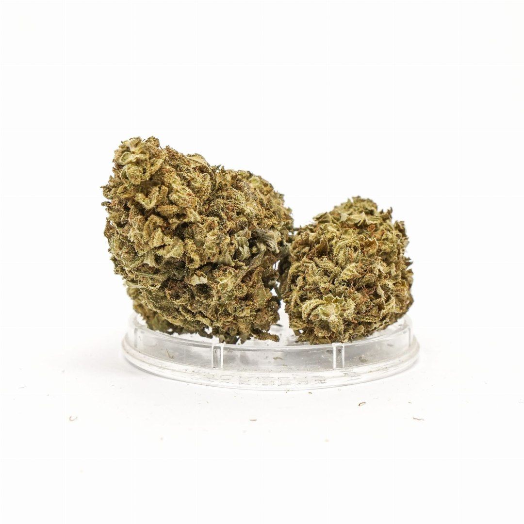 CBD Kwiaty Konopi "AMAZING HAZE" 1 g Kup z Olx!