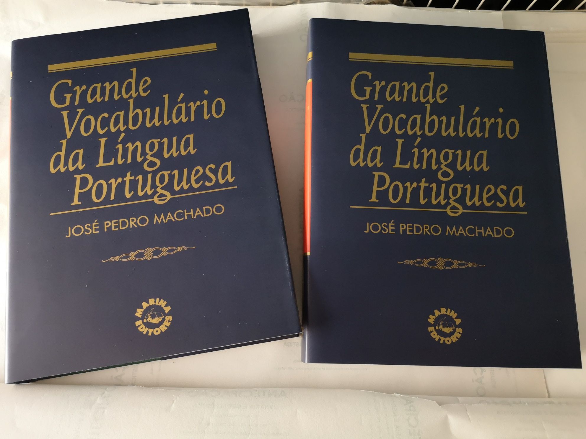 Grande vocabulário da língua portuguesa, de José P. Machadado - NOVOS