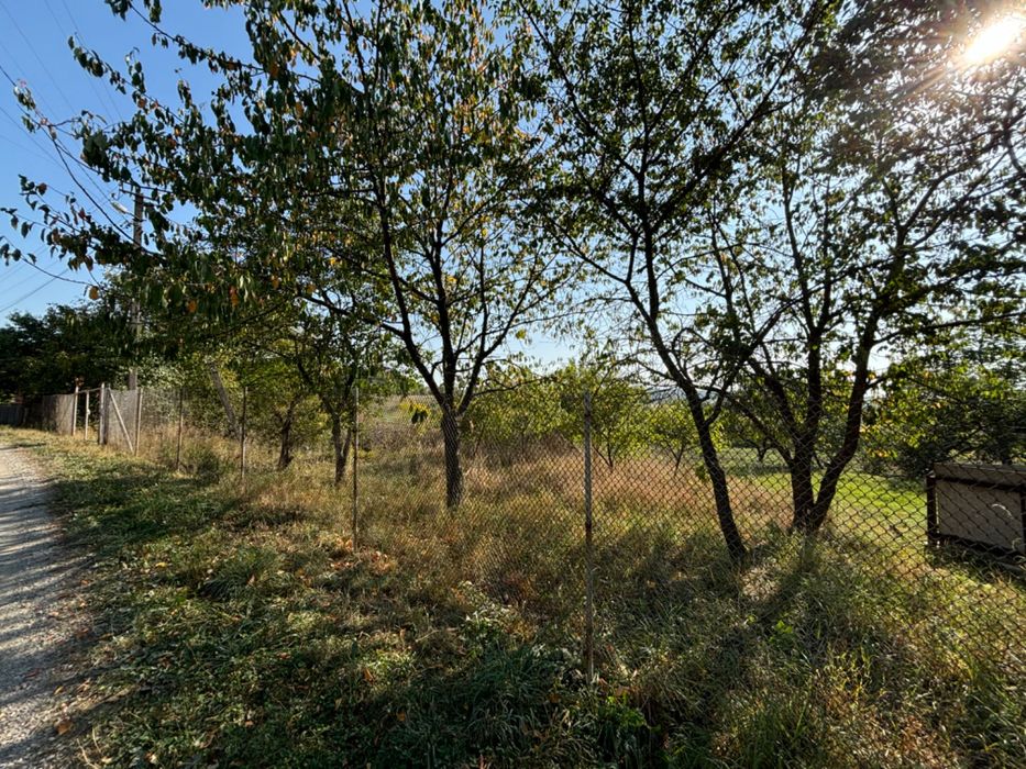 Земельна ділянка в селі Милування_МА