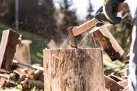 Рубання дров | Звягель