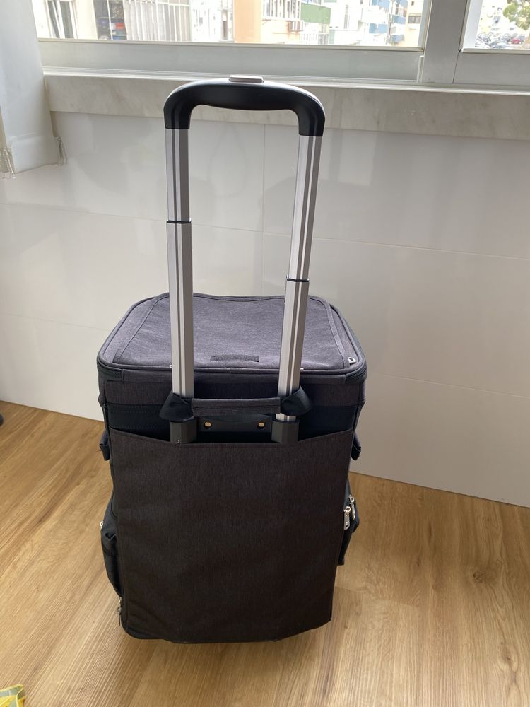 Transportadora dupla para gatos com rodas