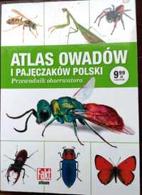 Atlas owadów i pajęczaków Polski