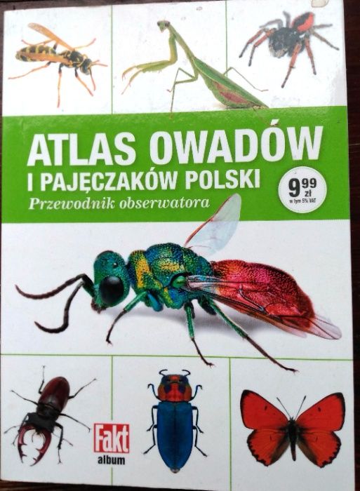 Atlas owadów i pajęczaków Polski