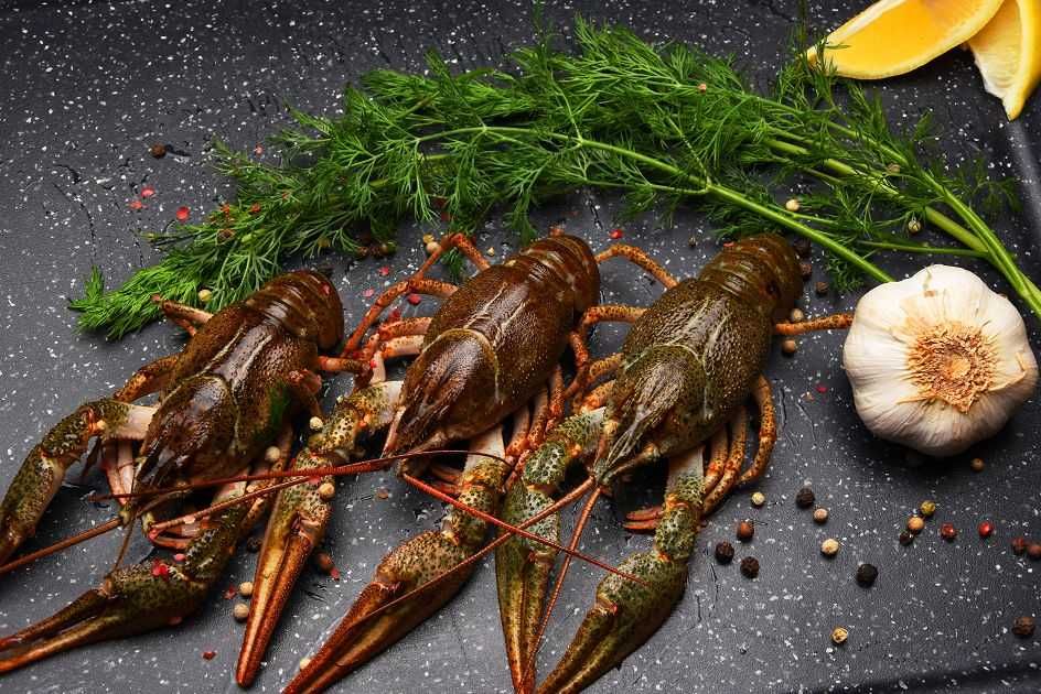 Раки охолоджені середньо-великі до 20 шт/кг (70-90грам/штука)