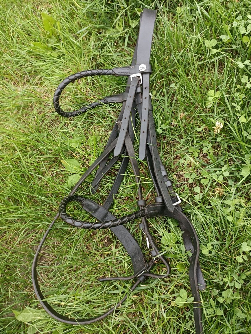 Ogłowie Cladridge House pony