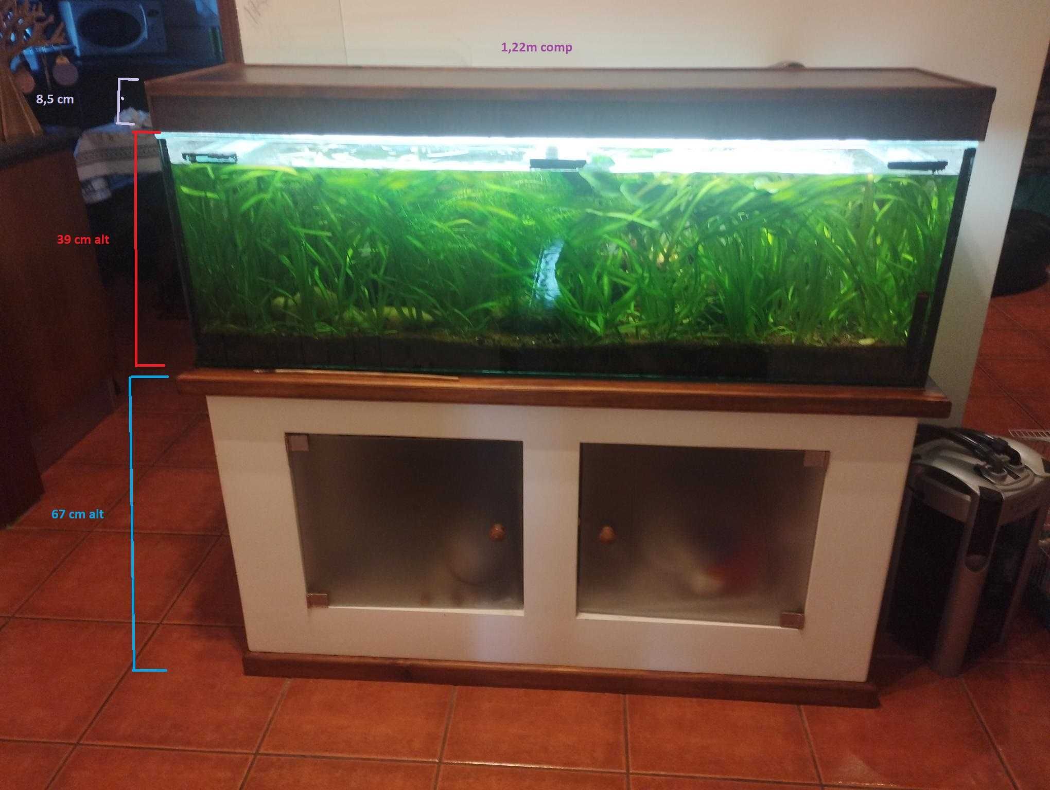 Vendo aquário com móvel e luzes