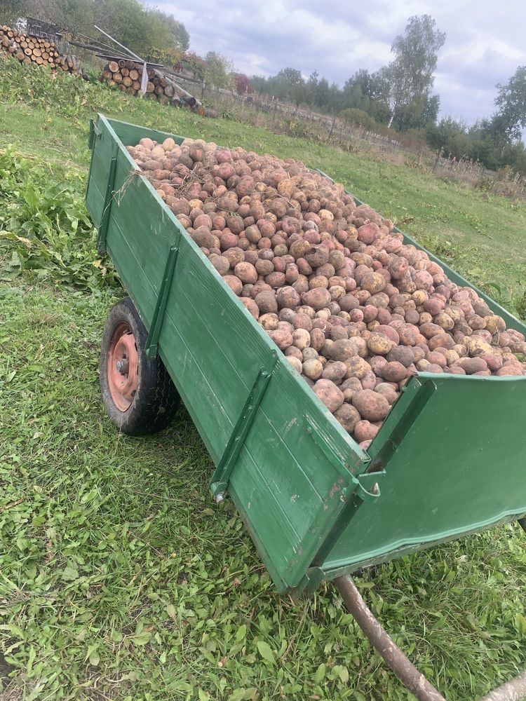 Продам Прицепа бортового для мотоблока ,трактора